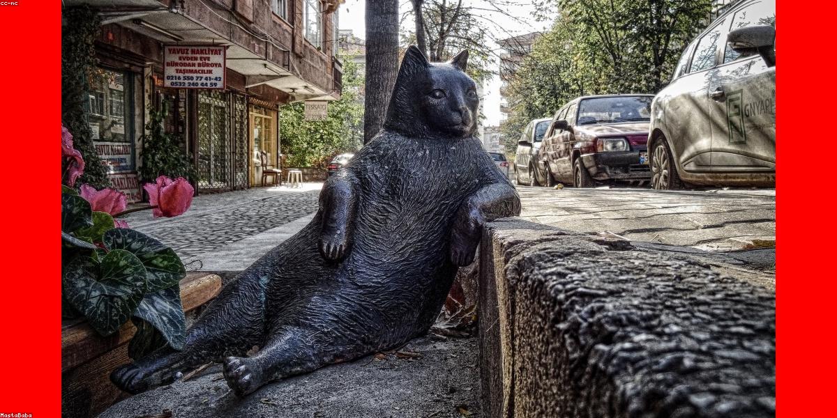 Ie românească în context urban